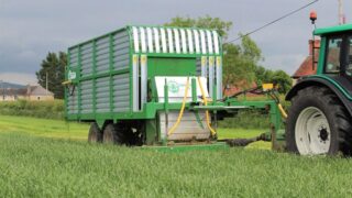 How to make best use of zero-grazed grass