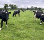 Prepare a nutrient management plan for the new season