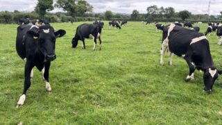 Prepare a nutrient management plan for the new season