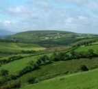 Tenancy vs Conacre: ‘Don’t let the tax tail wag the dog’