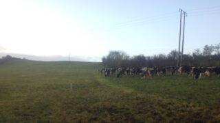 3,000 NI farmers sign up for soil sampling scheme