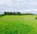 Northern farmers face new compulsory purchase measures