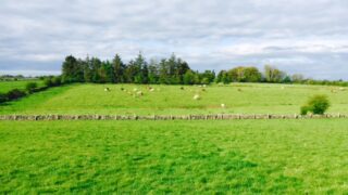 Northern farmers face new compulsory purchase measures