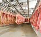 Abattoir closures will leave farmers with 'nowhere to go'