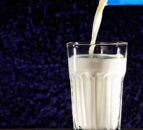 Milk Board legacy assets to be released to Dairy Council NI