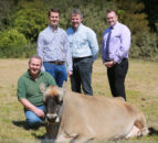 A record 21,000 people visit North’s Open Farm Weekend
