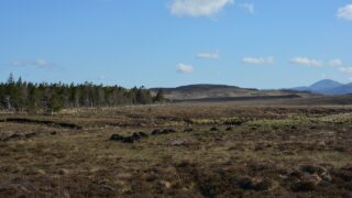 Defra proposes banning heather burning on upland peat