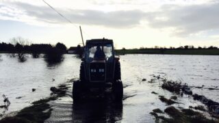 ‘Long-term prospects for farming are good, but that’s no consolation for those struggling now’