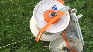 Spring grazing: Allocations can be a process of trial and error