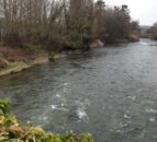 Farmer convicted and fined for polluting a waterway