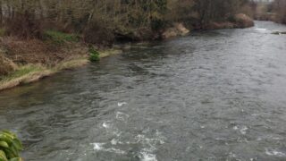 Farmer convicted and fined for polluting a waterway