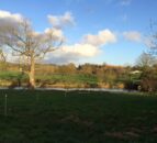 Northern Irish farmer fined for allowing silage effluent to enter waterway