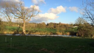 Northern Irish farmer fined for allowing silage effluent to enter waterway
