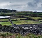 Field names project ploughs ahead with fascinating insights