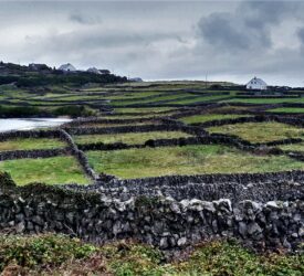 Rural areas ‘need young people who are resilient, adaptable and supportive’