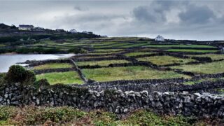 Rural areas ‘need young people who are resilient, adaptable and supportive’