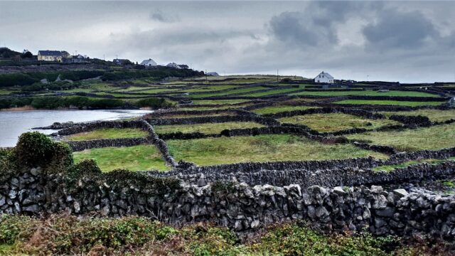 Rural areas ‘need young people who are resilient, adaptable and supportive’