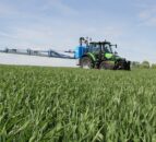 Wheat DNA shows visually clean crops had high levels of Septoria