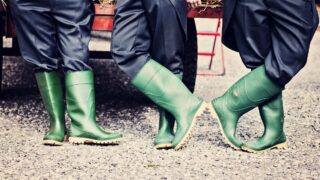 New year, new career: Check out the latest agri jobs on offer