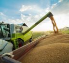 Date for the diary: CAFRE arable conference to focus on soils