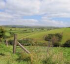 UK general election comes at an ‘uncertain time for farming’