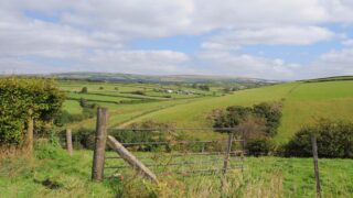 UK general election comes at an ‘uncertain time for farming’