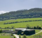 NI farmers may be in a position to receive CAP subsidies until end of 2019