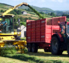 Young farmer snubs court date in favour of silage