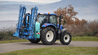 Weed control: When is the best time to spray for best results?
