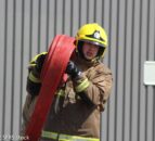 2,000 pigs die after blaze breaks out on Co. Down farm