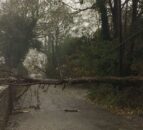 Storm Callum: Your 7-point storm repairs safety checklist