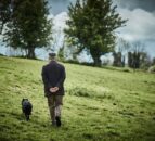 £4.5 million redirected to help NI rural dwellers cope through Covid-19