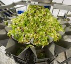 Salad giant Willowbrook secures €2.5m of additional business in ROI