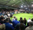 Winter Fair: Just two days to go until the North’s flagship dairy show