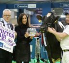 Winter Fair: Crowds flock to Ireland’s largest dairy show – follow the action as it happens