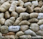 Ulster Wool collections up 13% on this time last year