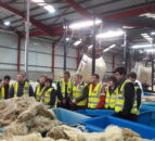 Ulster Wool launches new scheme for first-time sheep farmers