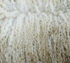 Wool prices expected to remain competitive as demand is ‘set to grow’