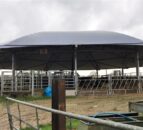 Rearing 600 calves on contract and operating a beef-finishing enterprise in the UK