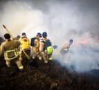 Gorse fire in Mourne Mountains believed to be deliberate