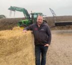 Wheat crops in Co. Down receive first nitrogen