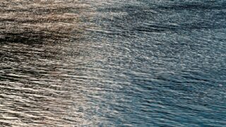 NI: No coastal water bodies or lakes achieved high ecological status in 2024