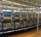 Oz dairy farmers welcome move to address retail pricing