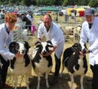 Armagh Show recorded largest visitor number ever last year