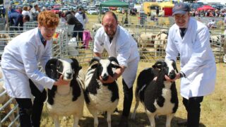 Armagh Show recorded largest visitor number ever last year