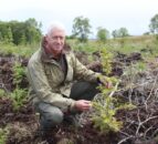 1st Forestry Expansion Scheme offers issued for 2024/2025 in NI