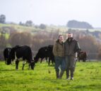 Former UK sheep shearer excels at New Zealand share milking