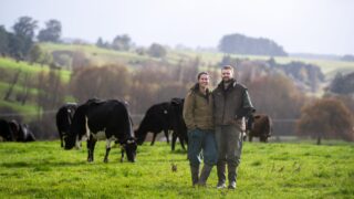Former UK sheep shearer excels at New Zealand share milking