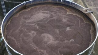 Clay aggregate can reduce ammonia emissions – CAFRE