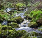 Nearly €21m allocated to cross-border water quality projects